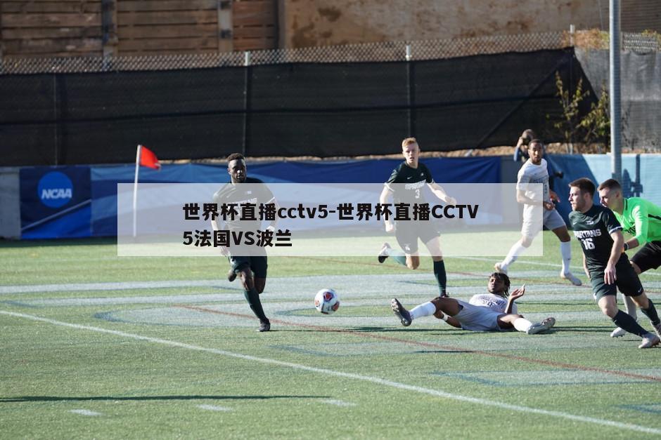 世界杯直播cctv5-世界杯直播CCTV5法国VS波兰